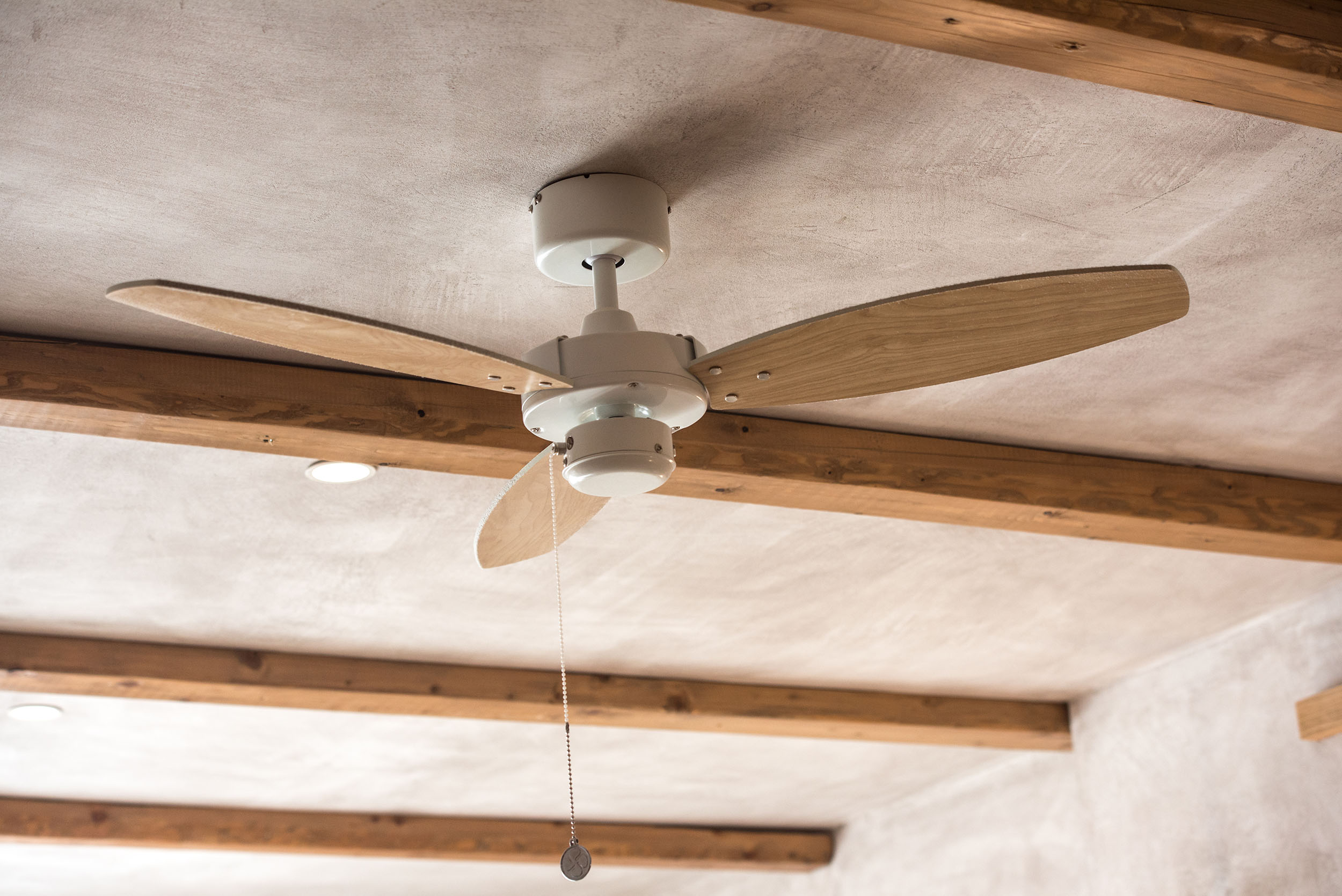 Ceiling fan